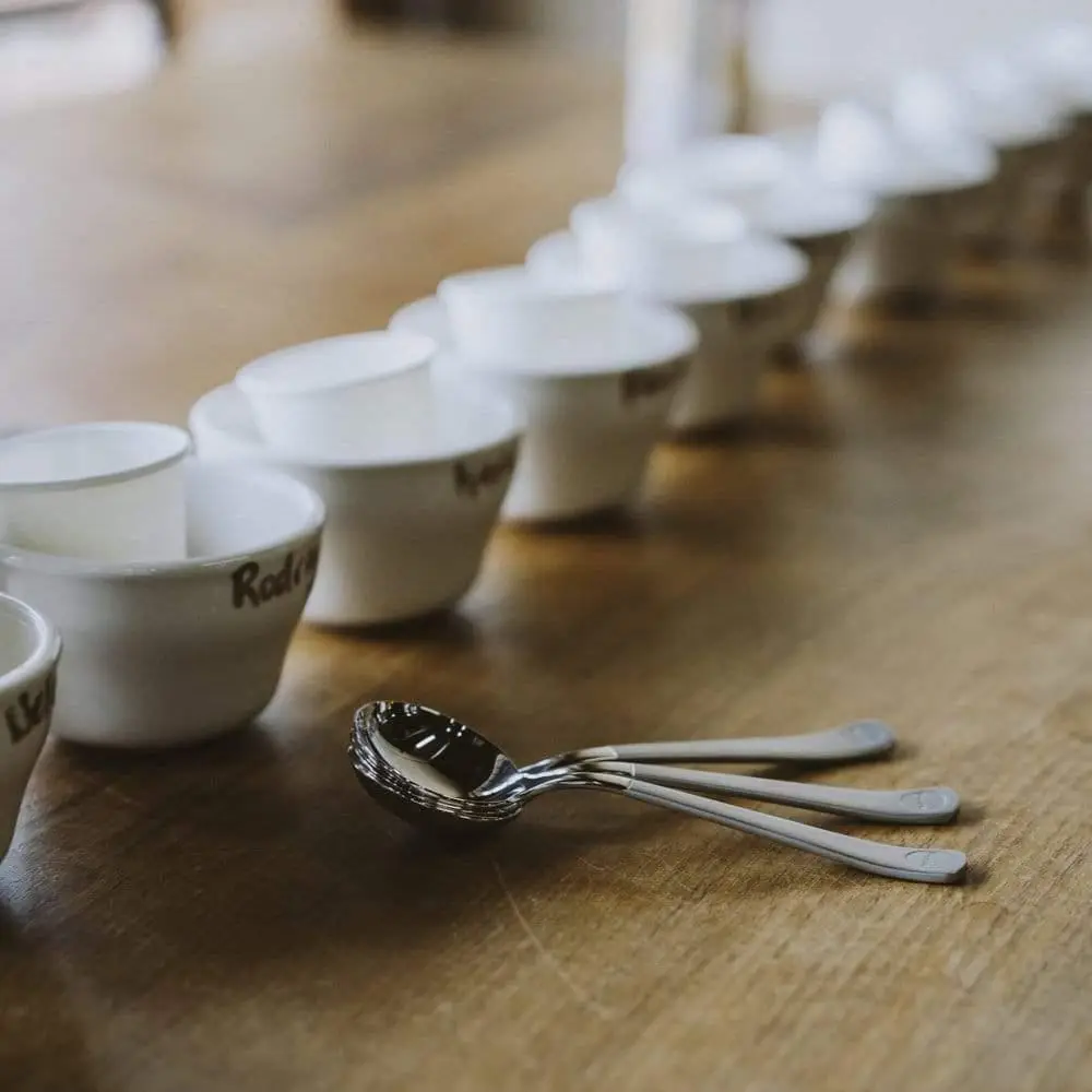 Купити Ложка Brewista Titanium Professional Cupping Spoon для капінгу кави Ложка Brewista Titanium Professional Cupping Spoon для капінгу кави